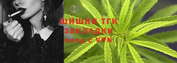 индика Переславль-Залесский