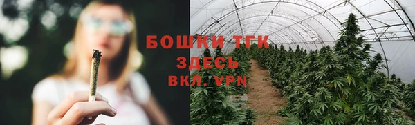 круглые Осинники