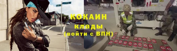 индика Переславль-Залесский