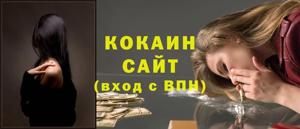 индика Переславль-Залесский