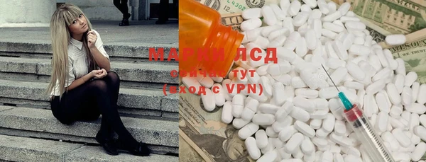 индика Переславль-Залесский