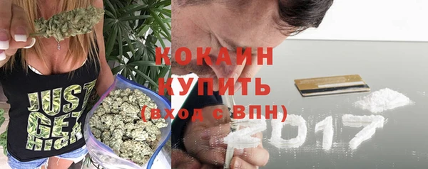 гидра Пересвет