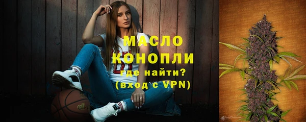 индика Переславль-Залесский